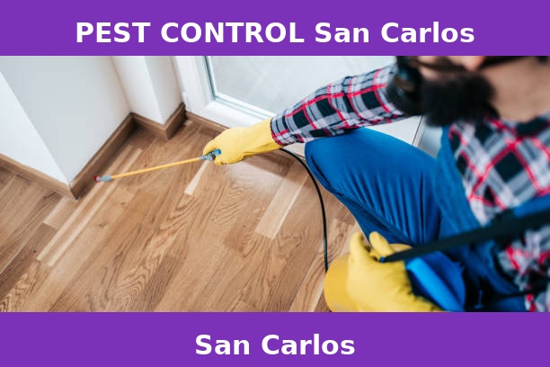 PEST CONTROL San Carlos